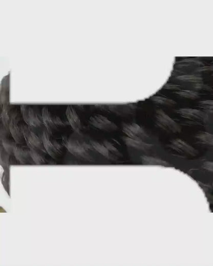 Catbury Peacock Bun